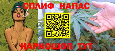 бошки Славгород