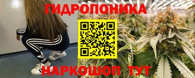сатива Сланцы