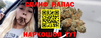 молекула духа Славянск-на-Кубани