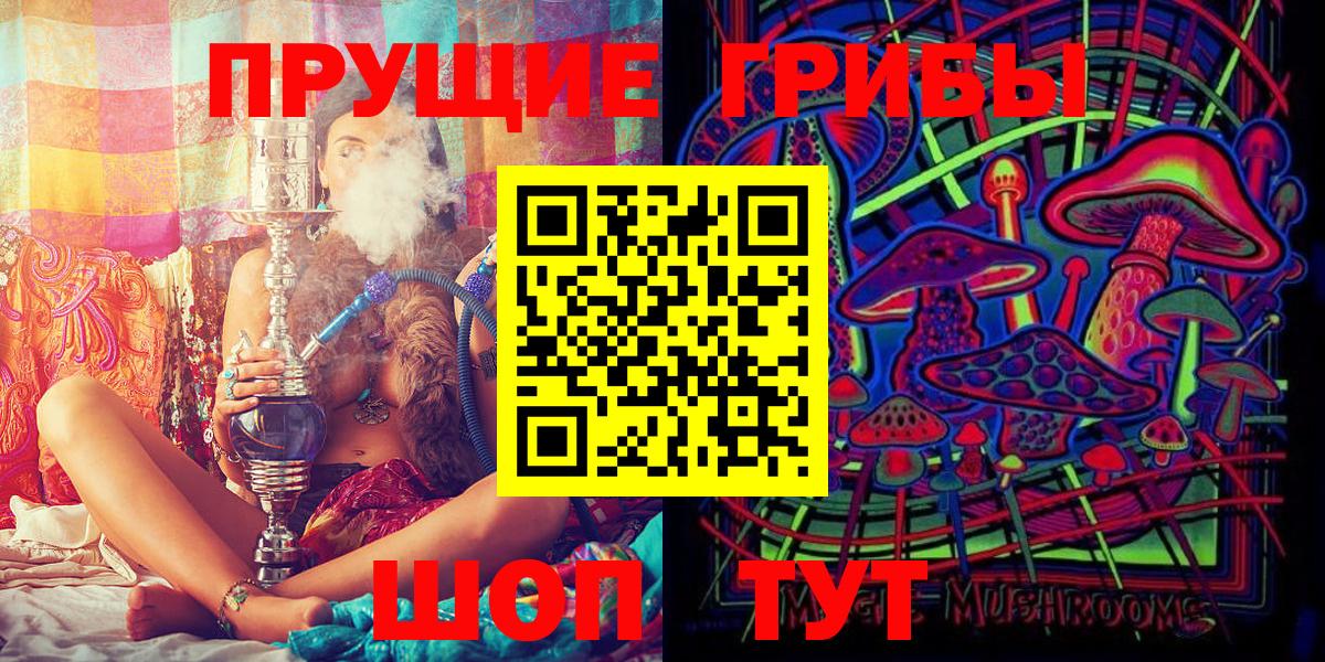 Псков  как найти наркотики  Вход с VPN  Галлюциногенные грибы Cubensis 